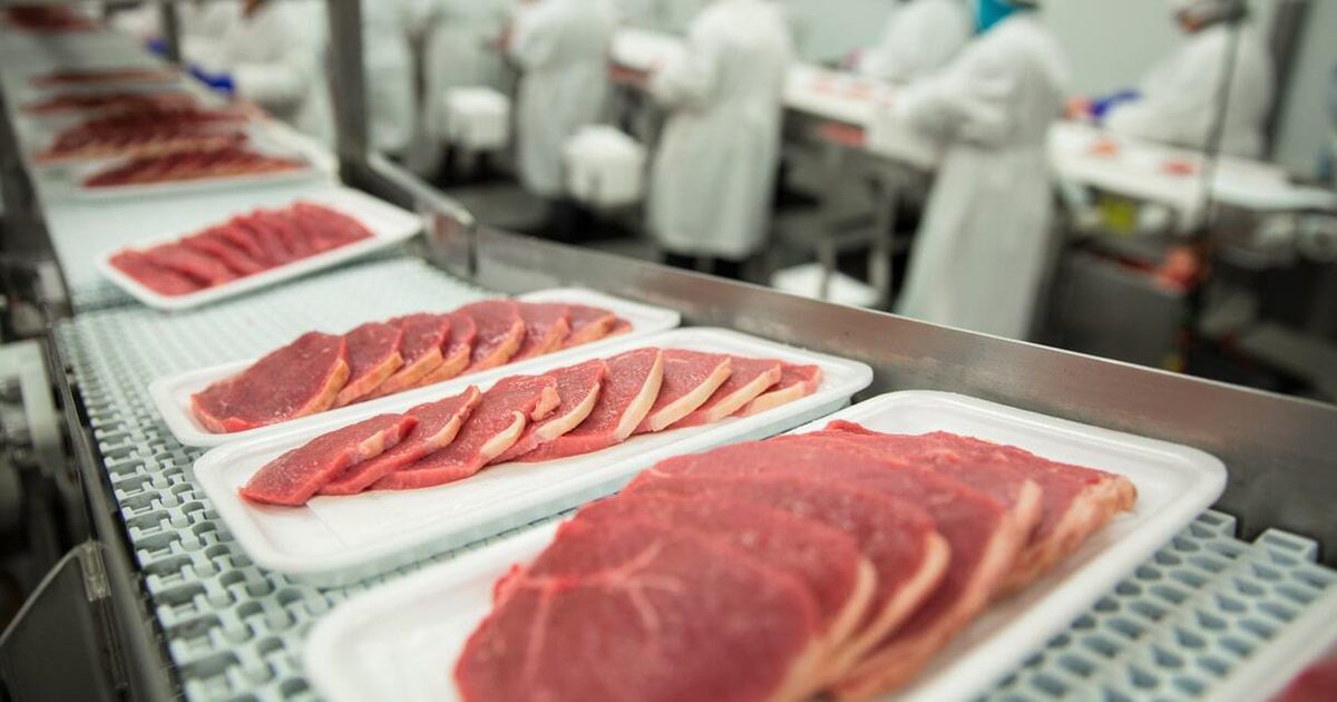 Building a Safer Food Supply Chain: The Importance of Food Safety in ...